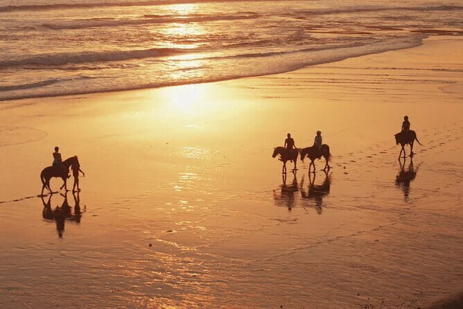 Bali Horse Riding on the Ricefields & Beach - FAQ