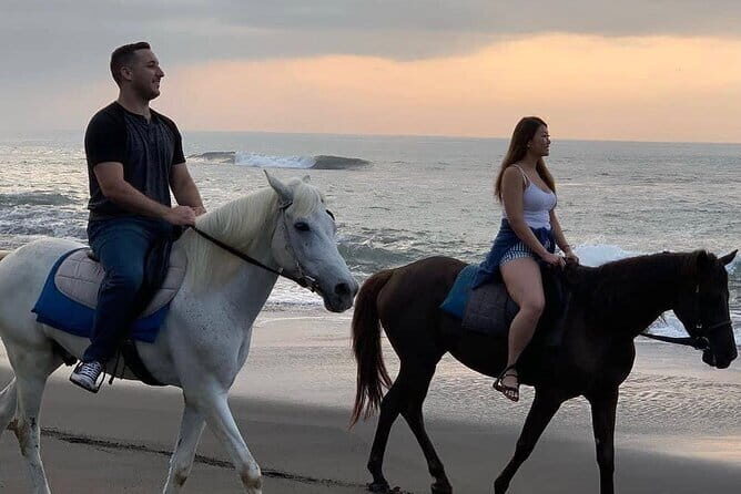 Bali Horse Riding Seminyak Beach Experience Private Transport - Key Points