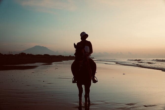 Bali Horse Riding Trot & Canter Sanur Beach include Transport - The Experience: What You Can Expect from Start to Finish