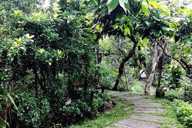 Bali in 1-Day : Rice Terrace, Volcano, Tanah lot - All Inclusive - What to Expect: A Deep Dive into the Itinerary