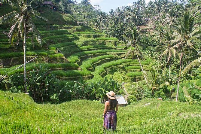 Bali Instagram Tour: The Most Scenic Spots - Who Will Love This Tour?