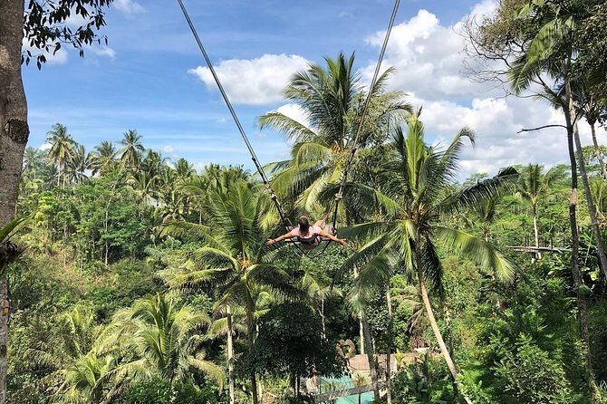 Bali Jungle Swing, Ubud Art Market & Puri Saren with Japanese Speaking Guide - Exploring the Itinerary: What You Can Expect