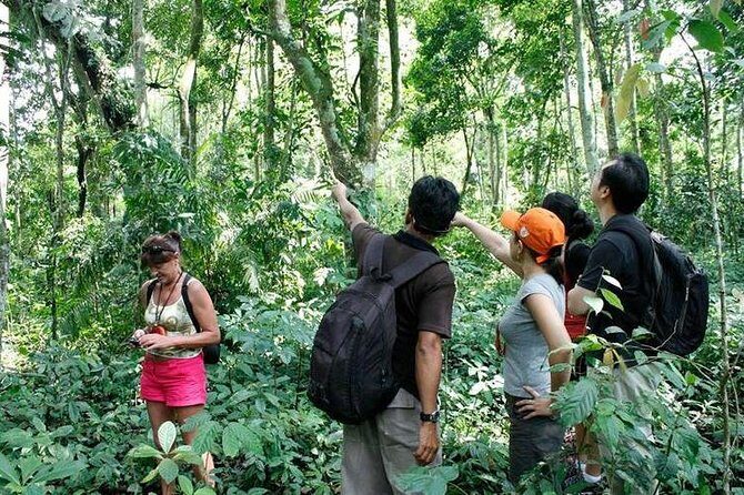 Bali Jungle Trek, Banyumala Fall, Wana Giri Hill And Top Temple - Key Points
