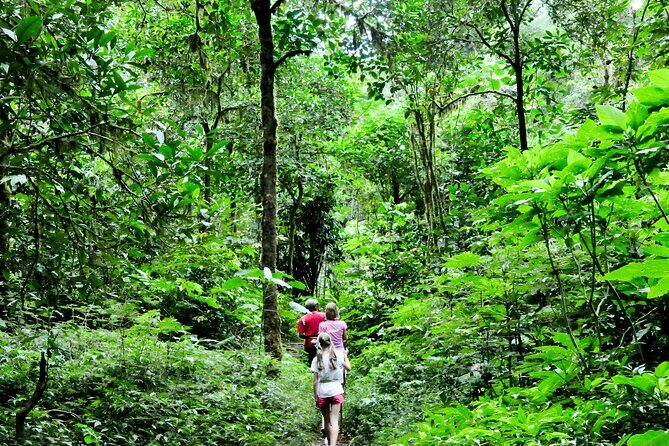 Bali Jungle Trekking in Beautiful Rainforest - An Authentic Day Out in Bali’s Rainforest