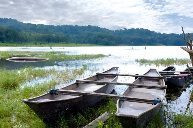 Bali Jungle Trekking in Beautiful Rainforest - Who Will Love This Tour?