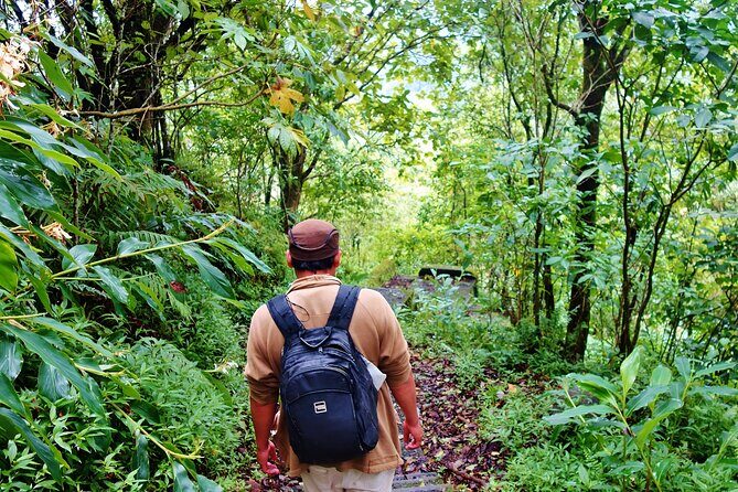 Bali Jungle Trekking in Beautiful Rainforest - Final Thoughts: Is It Worth Booking?