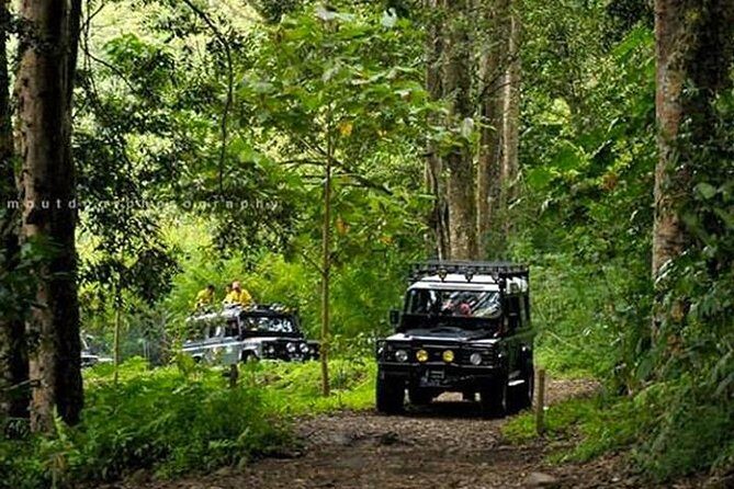 Bali Land Rover Safari & Jungle / Volcano - Exploring Bali’s Natural and Cultural Treasures in a Single Day