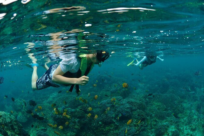 Bali Lembongan Island Beach Club Day Trip - The Full Experience: What to Expect