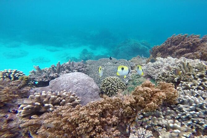 Bali Lempuyang Gate of Heaven and Private Blue Lagoon Snorkeling - The Sum Up