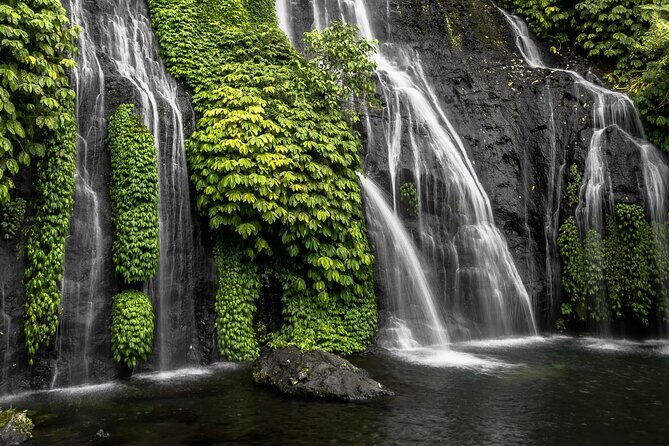 Bali Lovina Dolphin and North Bali Sightseeing - All Inclusive - An In-Depth Look at the Bali North Bali Tour