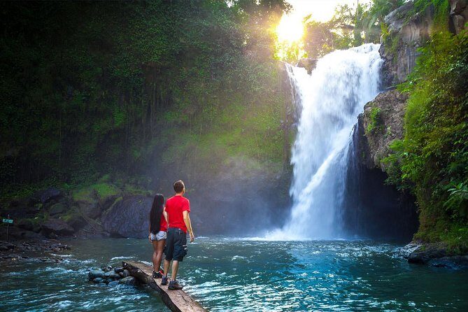 Bali Majestic Waterfall Tour - A Day Exploring Bali’s Waterfalls: What to Expect