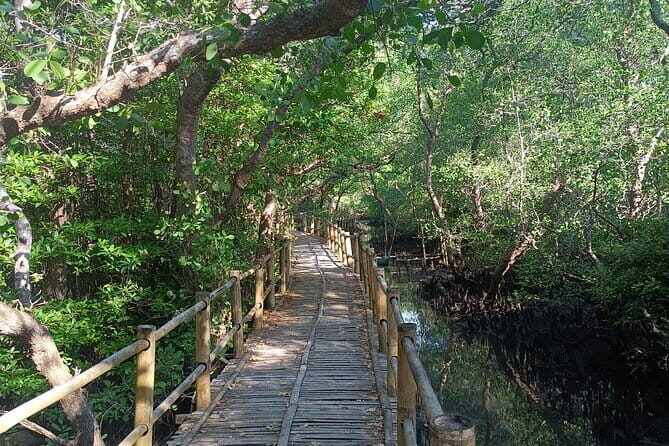 Bali Mangrove Forest Canoeing, Uluwatu Temple and Kecak Dance - Analyzing the Itinerary: A Day Well Spent