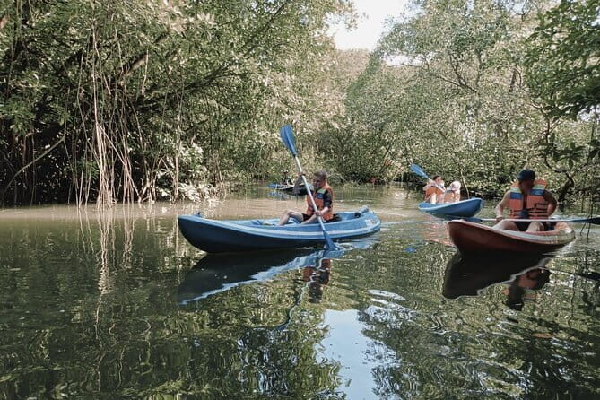 Bali: Mangrove Kayaking, GWK Park, Uluwatu Kecak fire Dance - A Deeper Look at the Tour Components
