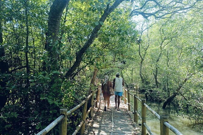Bali: Mangrove Kayaking, GWK Park, Uluwatu Kecak fire Dance - Who Should Book This Tour?
