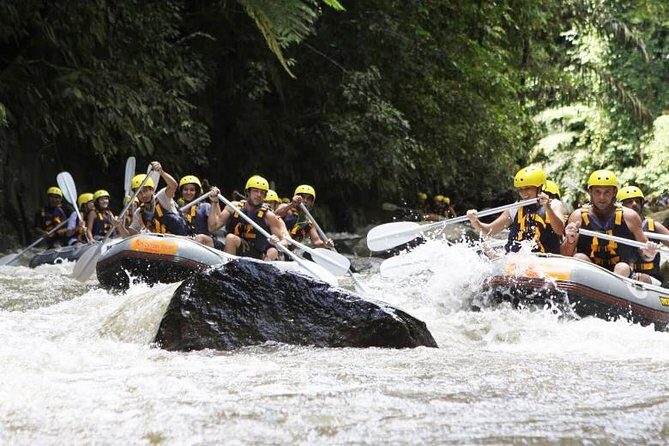 Bali Mason Adventure White Water Rafting - Who Should Consider This Tour?