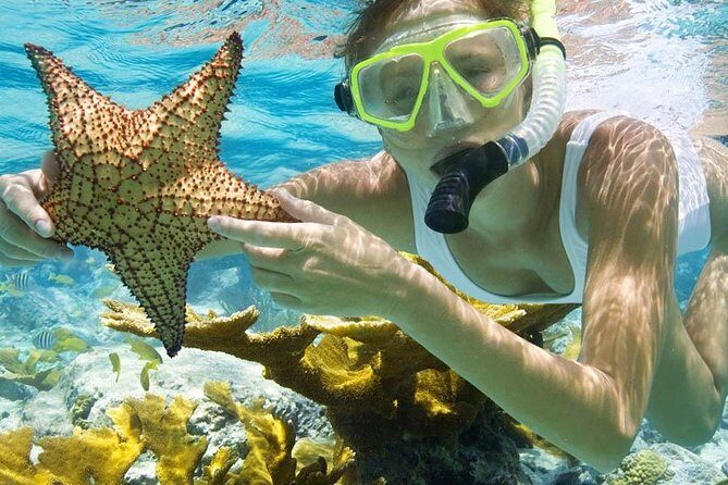 Bali Menjangan Island Snorkeling Day Tour - Authentic Experiences from Reviewers