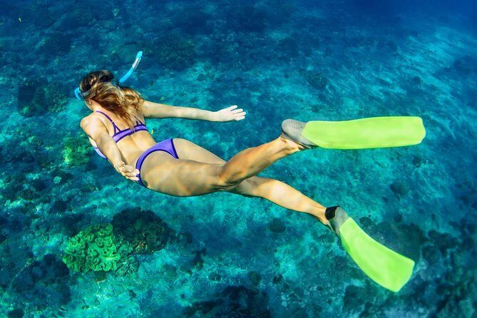 Bali Menjangan Island Snorkeling Day Tour - The Sum Up: Who Will Love This Tour?