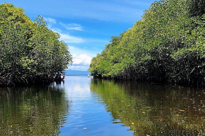 Bali Nusa Lembongan Islands Private Tour - All Inclusive - An In-Depth Look at the Nusa Lembongan Private Tour