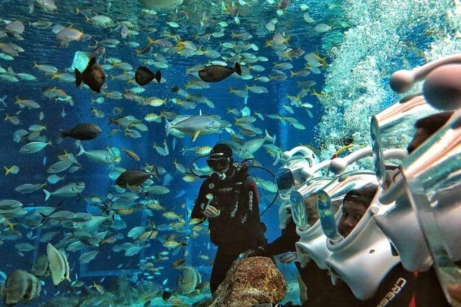 Bali Ocean Walker - What to Expect from the Bali Ocean Walker Tour