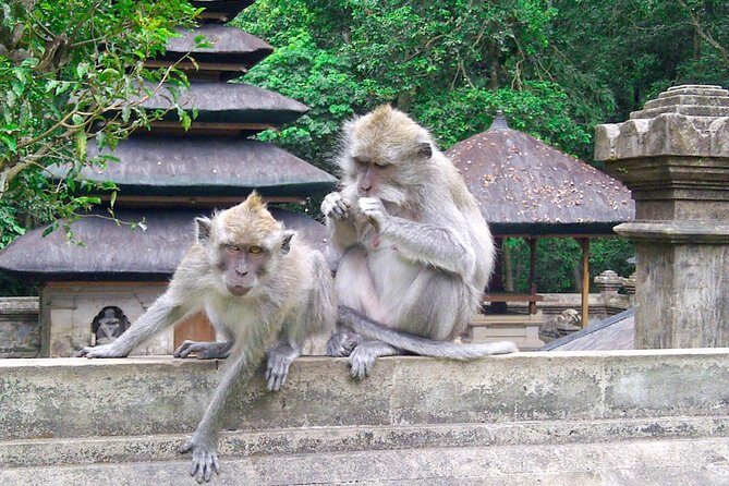 Bali Package Tour: 4 Days & 3 Night - Key Points