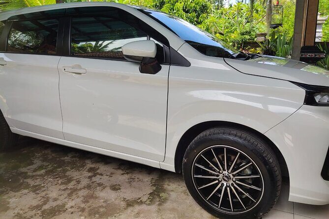 Bali Private Car and Customize Tour With English Speaking Driver - Who Would Love This Tour?