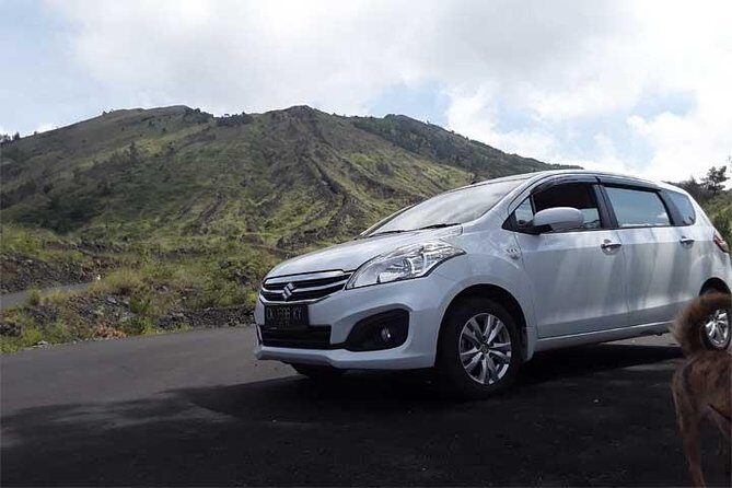 Bali Private Car or Minibus Charter With Driver - Exploring Bali with a Private Car or Minibus and Driver: An Honest Review