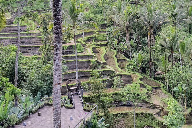 Bali Private Driver and Car for Customize Tours - The Value of a Private, Customizable Tour