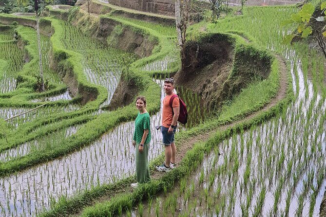Bali Private Driver and Car for Customize Tours - Exploring the Highlights: Stops and Experiences