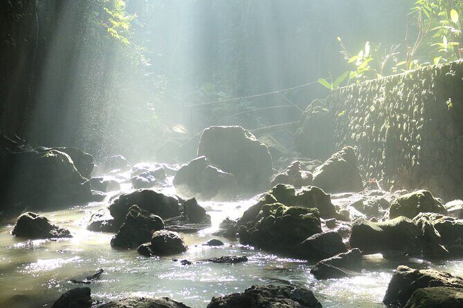 Bali Private Full Day Tour to Visit the Best Waterfalls and Swing near Ubud - Terrace River Pool Swing