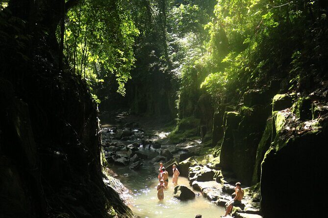 Bali Private Full Day Tour to Visit the Best Waterfalls and Swing near Ubud - Why This Tour Works