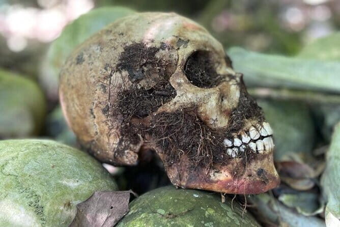 Bali Private Mystic Death Tour In Trunyan - Setting the Scene: What Is This Tour About?