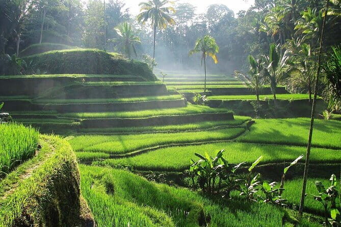 Bali Private Mystic Death Tour In Trunyan - Stop 4: Lake Batur and Mount Batur — Scenic Marvels