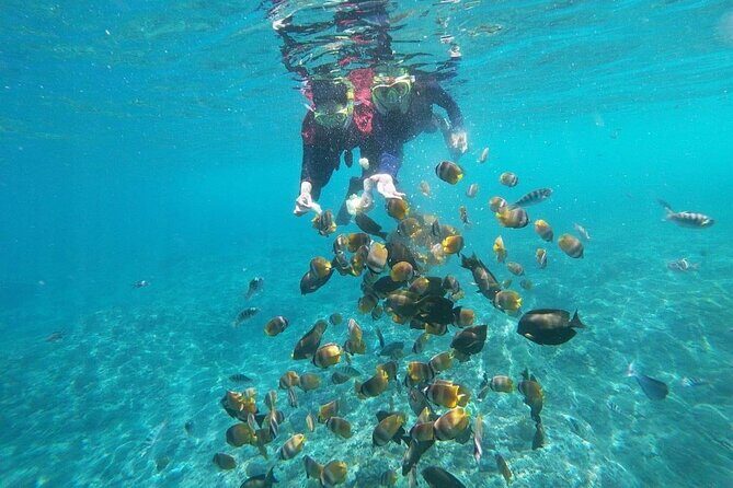 Bali Private Snorkeling (Manta, Gamat, Wall) and Nusa Penida Tour - Final Thoughts