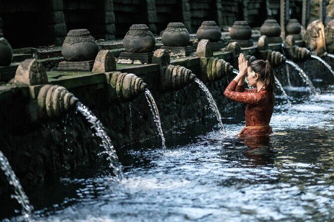 Bali Private Tour - Best of Ubud - All Inclusive - Who Should Consider This Tour?