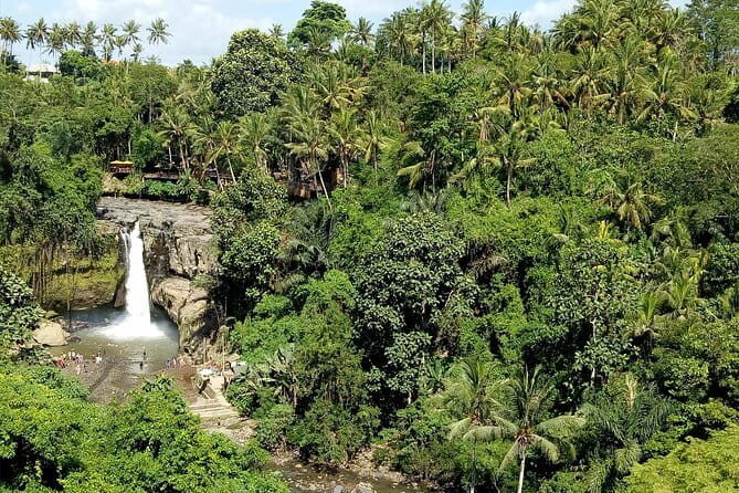 Bali Private Tour: Waterfall, Monkey forest and Tanah lot sunset - What the Tour Includes and What to Keep in Mind