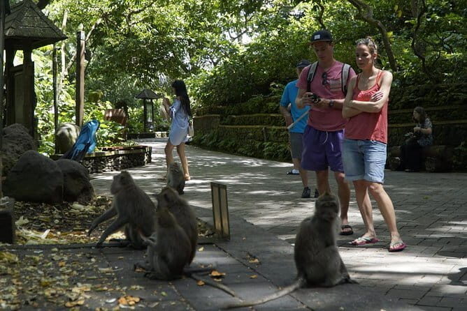 Bali Private Tour Waterfall with Tanah Lot Temple - An In-Depth Look at the Tour Experience