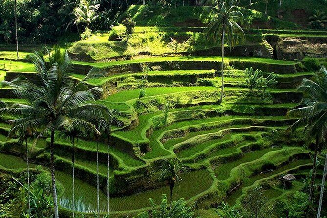 Bali Private UNESCO Heritage Sites Trip - FAQ