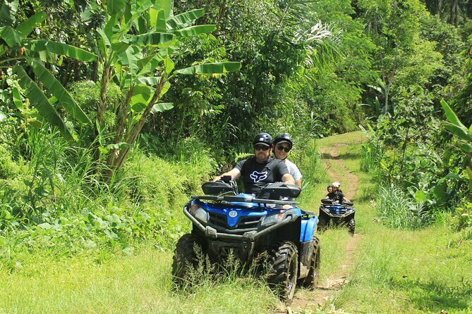Bali Quad and Buggy Discovery Tour, Including Round-Trip Transfer - Practical Tips for Booking and Participating