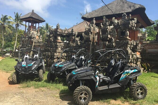 Bali Quad and Buggy Explorer Tour - A Closer Look at the Tour Experience