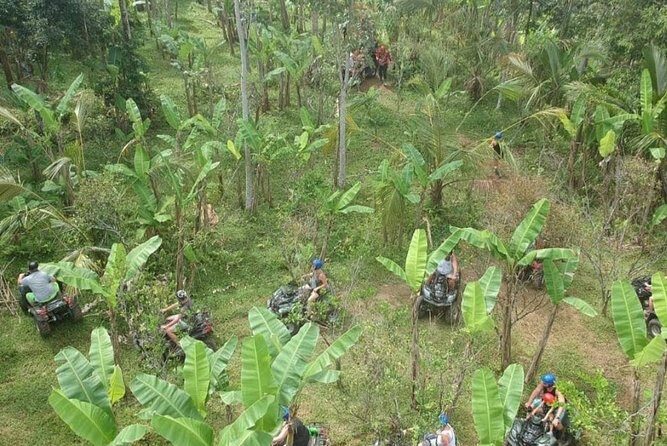 Bali Quad bike ATV passing through Waterfall, Cave & Rice fields - Who is This Tour Perfect For?