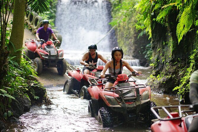 Bali Quad Bike Through Gorilla Cave - Monkey Forest and Waterfall - Why This Tour Will Suit You