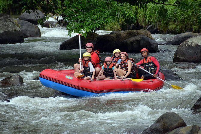 Bali Rafting and Private Combination Ubud Tour Packages - An In-Depth Look at Bali Rafting and Ubud Tour