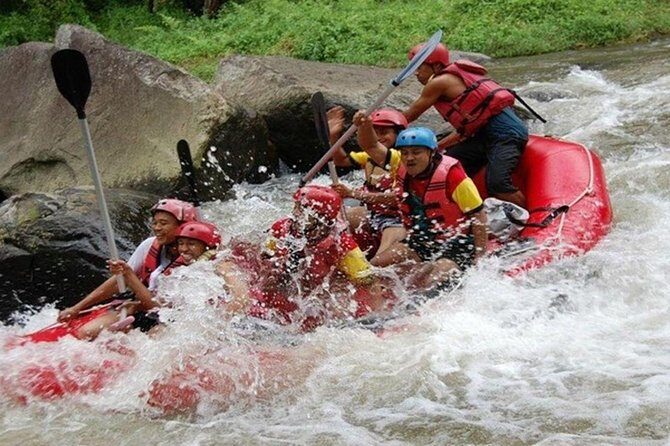 Bali Rafting and Ubud Tour - Final Verdict