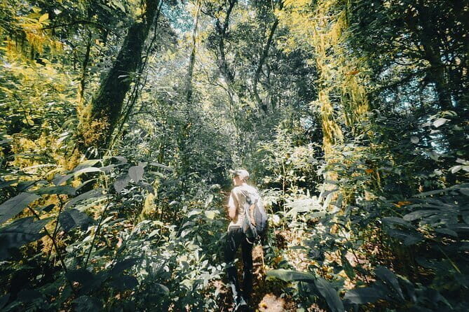 Bali Rainforest Hiking With Canoeing And Waterfall Adventure - Key Points