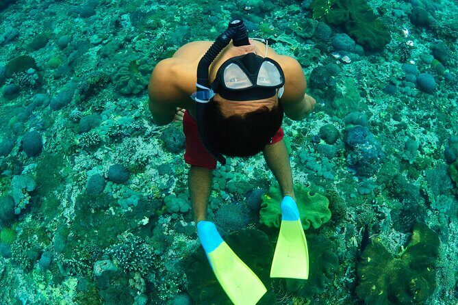 Bali Reef Cruise and Lembongan Island Day Trip - An Overview of the Tour