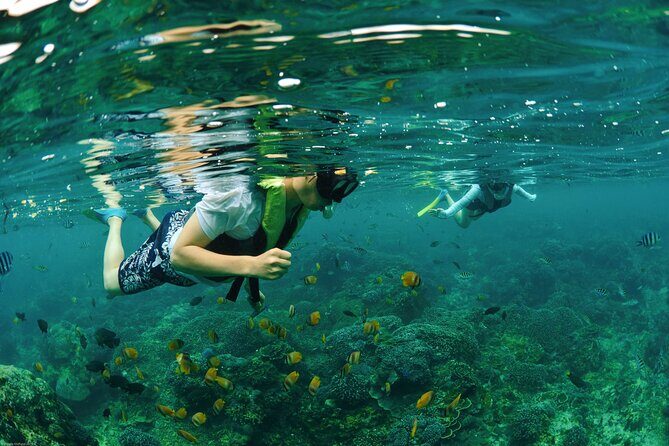 Bali Reef Cruise and Lembongan Island Day Trip - Considerations and Challenges