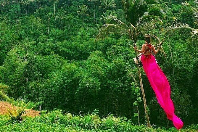 Bali romantic floating breakfast - jungle swing - monkey forest - Ubud art shop. - What the Tour Includes and What to Consider