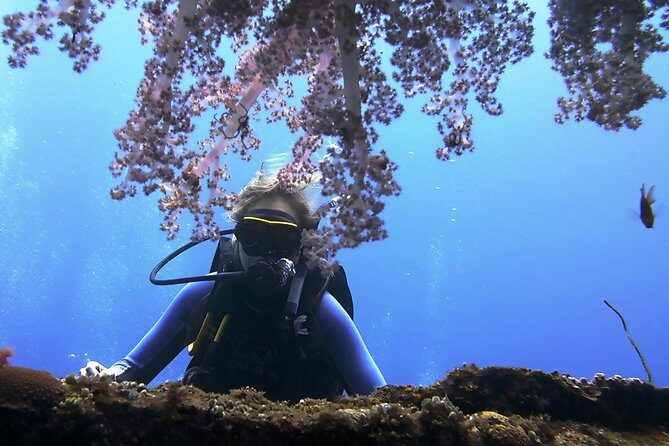 Bali Scuba Diving trip at Tulamben for Certified Diver - The Authenticity and Unique Aspects