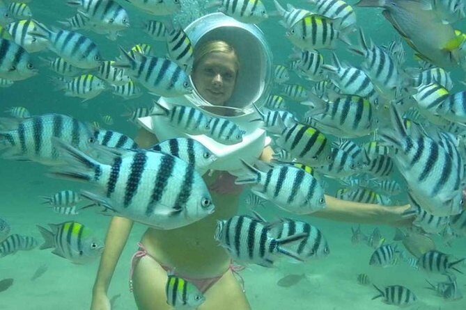 Bali Sea Walker - What to Expect From the Bali Sea Walker Experience