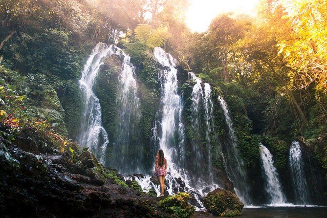 Bali Secret Waterfall Tour - Private and All-Inclusive - The Itinerary in Depth